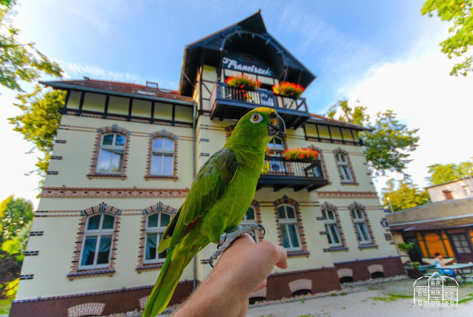 Franciszek Przy Parku Szwedzkim Apartment Szczawno-Zdroj Exterior foto