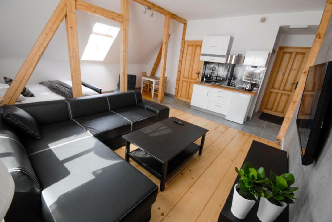 Franciszek Przy Parku Szwedzkim Apartment Szczawno-Zdroj Exterior foto